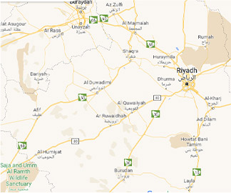 فرع الرويضة